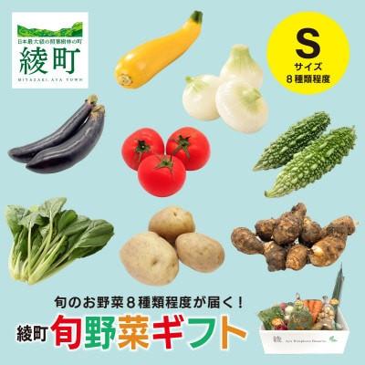 ふるさと納税 綾町 [毎月定期便]綾町旬野菜ギフト Sサイズ全3回