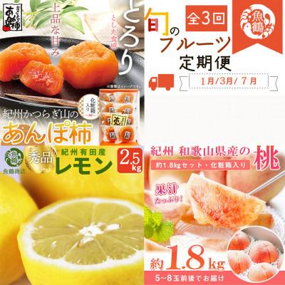 ふるさと納税 紀美野町 [発送月固定定期便]紀州和歌山産旬のフルーツセット(あんぽ柿・レモン・桃)全3回