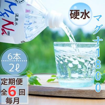 ふるさと納税 竹田市 【毎月定期便】長湯温泉マグナ 「マグナ1800」 2L