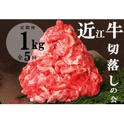 ふるさと納税 近江八幡市 [毎月定期便][数量限定][近江牛 切落しの会]1kg(500g×2)全5回