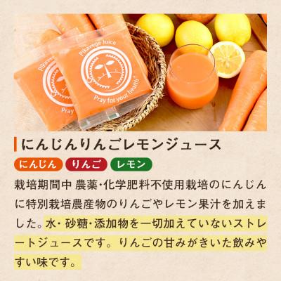 ふるさと納税 函南町 【毎月定期便】コールドプレス製法の無添加人参ジュース 1箱(100cc×30P)全3回の画像