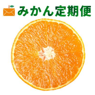 ふるさと納税 八幡浜市 [発送月固定定期便]愛媛県限定柑橘定期便[G33-43]全2回