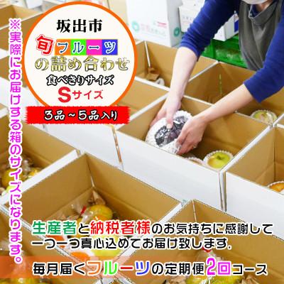ふるさと納税 坂出市 【毎月定期便】産直あきんどのフルーツセットSサイズ 詰め合わせ ( 約3 〜 5品 )全2回_2
