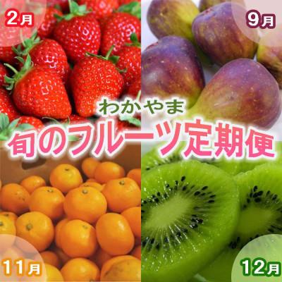 ふるさと納税 紀の川市 [発送月固定定期便]和歌山の旬のフルーツ(いちご・いちじく・みかん・キウイ)定期便全4回