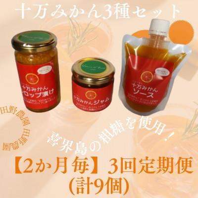 ふるさと納税 さつま町 [2ヵ月毎定期便]十万みかん加工品3種セット(シロップ漬け・ソース・ジャム 合計9個)全3回