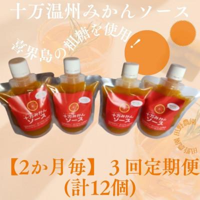 ふるさと納税 さつま町 [2ヵ月毎定期便]十万温州みかんソース4本 (計12本・1本200g)全3回