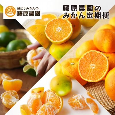ふるさと納税 海南市 [発送月固定定期便]みかんのサブスク 頒布会|旬のカンキツを産地直送で毎月お届け全12回