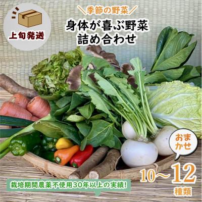 ふるさと納税 行方市 [発送月固定定期便]『身体が喜ぶ野菜』おまかせ10〜12品(上旬発送)全10回
