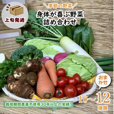 ふるさと納税 潮来市 [発送月固定定期便]『身体が喜ぶ野菜』詰め合わせ(おまかせ10〜12品)上旬発送全10回
