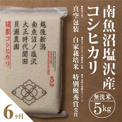ふるさと納税 南魚沼市 [毎月定期便]南魚沼塩沢産コシヒカリ「貝瀬農園米」無洗米5kg全6回