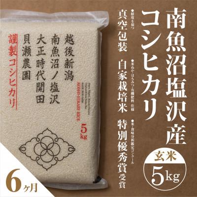 ふるさと納税 南魚沼市 [毎月定期便]南魚沼塩沢産コシヒカリ「貝瀬農園米」玄米5kg全6回
