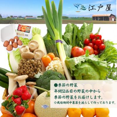 ふるさと納税 島原市 【毎月定期便】旬の野菜・フルーツ・卵(6個) おまかせセット全3回 |  | 01