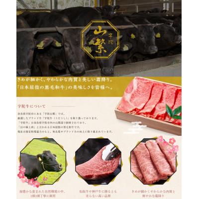 ふるさと納税 宇陀市 【3ヵ月毎定期便】宇陀牛 黒毛和牛 特上 すき焼き 赤身 400g認定名産のヘルシーな国産牛肉全2回_1