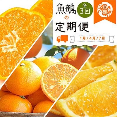 ふるさと納税 上富田町 [発送月固定定期便]紀州和歌山産旬のフルーツセット(みかん・なつみ・バレンシア)全3回
