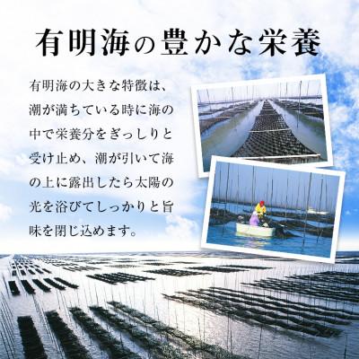 ふるさと納税 鞍手町 【毎月定期便】有明海産 焼き海苔 ボトル 10切100枚×4本(計400枚)(鞍手町)全3回_2