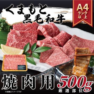 ふるさと納税 八代市 [毎月定期便]くまもと黒毛和牛 A4〜A5 焼肉用(500g)(八代市)全3回