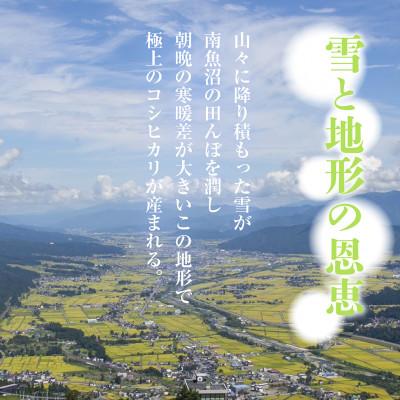 ふるさと納税 南魚沼市 【毎月定期便】無洗米 南魚沼産 コシヒカリ 精米 5kg(美味しい炊き方ガイド付)全4回の画像