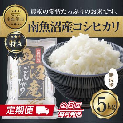 ふるさと納税 南魚沼市 【毎月定期便】無洗米 南魚沼産 コシヒカリ 精米 5kg(美味しい炊き方ガイド付)全6回 | 