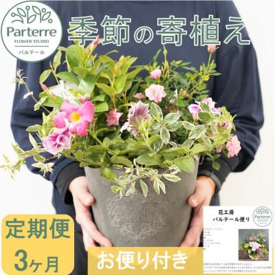 ふるさと納税 北上市 [毎月定期便]季節の寄せ植え 全3回
