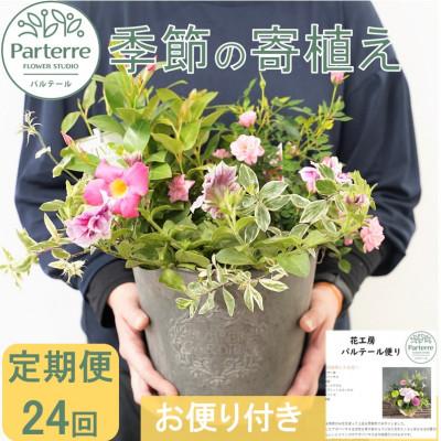 ふるさと納税 北上市 [2週間毎定期便]季節の寄せ植え 全24回