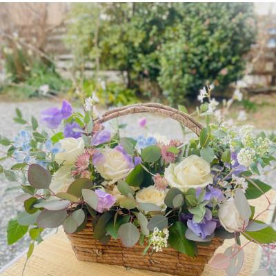 ふるさと納税 大刀洗町 [毎月定期便]和む花かご全12回