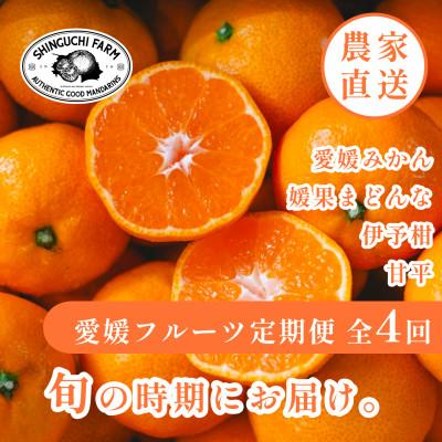 ふるさと納税 八幡浜市 [発送月固定定期便]愛媛の美味しい柑橘 みかん・まどんな・伊予柑・甘平[H70-40]全4回