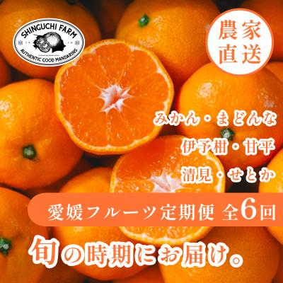 ふるさと納税 八幡浜市 [発送月固定定期便]愛媛の美味しい柑橘 人気6品種 まどんな・甘平・せとか等[H70-41]全6回