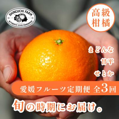 ふるさと納税 八幡浜市 [発送月固定定期便]愛媛の人気高級フルーツ まどんな・甘平・せとか[H70-42]全3回