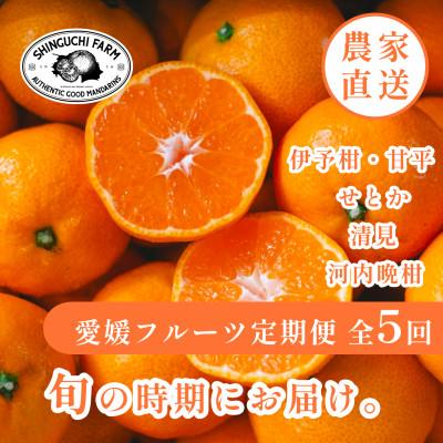 ふるさと納税 八幡浜市 [発送月固定定期便]愛媛人気柑橘5品種 伊予柑・甘平・せとか・清見・河内晩柑[H70-43]全5回