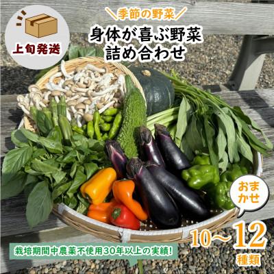 ふるさと納税 鹿嶋市 [発送月固定定期便]『身体が喜ぶ野菜』おまかせ10〜12品(上旬発送)全10回
