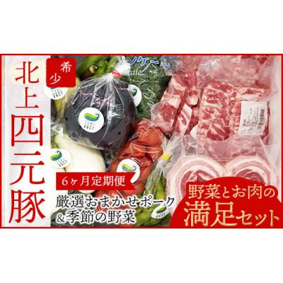 ふるさと納税 北上市 [発送月固定定期便]GIFTON 岩手北上産 四元豚 厳選カット肉と季節のうるおい 野菜セット全6回