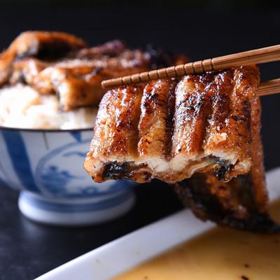 ふるさと納税 嬉野市 [毎月定期便]極上大うなぎセット(3尾入りタレ付き)全3回