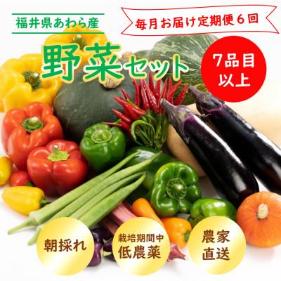 ふるさと納税 あわら市 [毎月定期便]農家直送 旬の野菜セット 7品目以上全6回