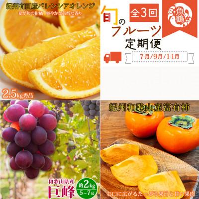 ふるさと納税 日高川町 [発送月固定定期便]紀州和歌山産旬のフルーツセット(バレンシア・巨峰・富有柿)全3回
