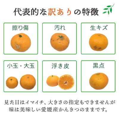 ふるさと納税 八幡浜市 【発送月固定定期便】愛媛の人気品種を厳選!みかん定期便(訳あり)【H25-171】全12回 |  | 03
