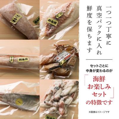 ふるさと納税 南伊勢町 【2ヵ月毎定期便】訳あり 伊勢志摩産 海鮮 お宝ボックス 約1.2kg 特産の刺身、干物など全2回 |  | 01