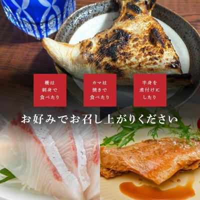 ふるさと納税 南伊勢町 【2ヵ月毎定期便】訳あり 伊勢志摩産 海鮮 お宝ボックス 約1.2kg 特産の刺身、干物など全2回 |  | 02