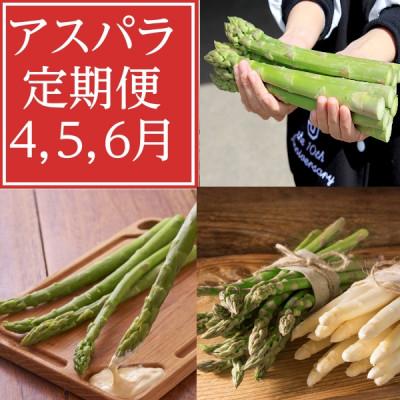 ふるさと納税 富良野市 2026年度分 [発送月固定定期便]4月・5月・6月北海道富良野産 アスパラ定期便全3回