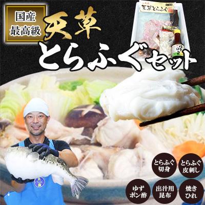 ふるさと納税 上天草市 [毎月定期便][極上の逸品]ふぐの王様!とらふぐ 国産最高級!天草とらふぐセット全2回
