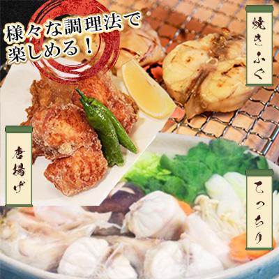 ふるさと納税 宇城市 【毎月定期便】ふぐの王さま!とらふぐ 国産最御膳上等!天草とらふぐ仕かける(宇城市)全3回