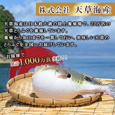 ふるさと納税 宇城市 【毎月定期便】ふぐの王さま!とらふぐ 国産最御膳上等!天草とらふぐ仕かける(宇城市)全3回