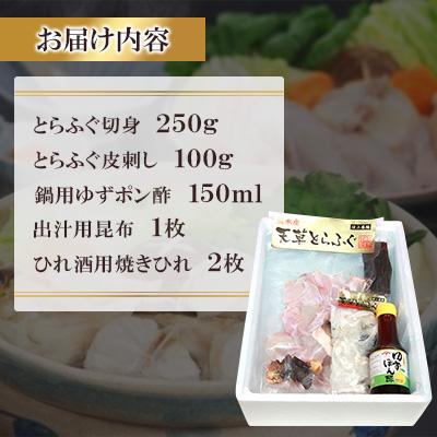 ふるさと納税 宇城市 【毎月定期便】ふぐの王さま!とらふぐ 国産最御膳上等!天草とらふぐ仕かける(宇城市)全3回