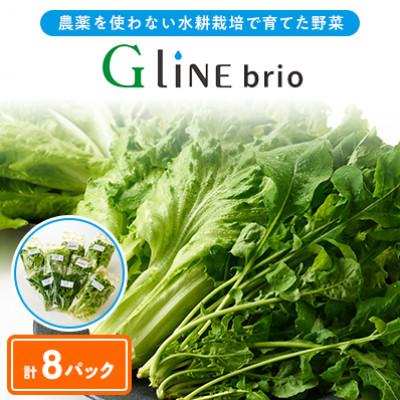 ふるさと納税 太子町 【毎月定期便】G Line brio レタス8パックセット全3回 | 