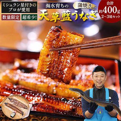 ふるさと納税 宇城市 [毎月定期便]希少!数量限定!海水育ちの天草藍うなぎ 蒲焼き2〜3尾セット全2回