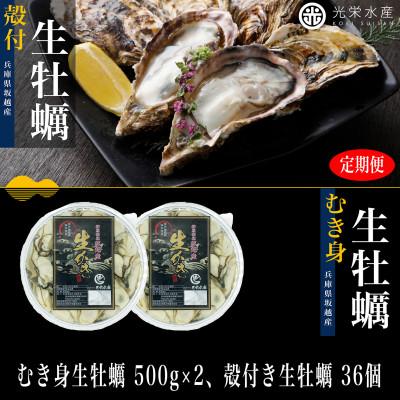 ふるさと納税 赤穂市 [発送月固定定期便]3ヶ月連続 坂越かき 剥き身500g×2 殻付き36個 軍手・牡蠣ナイフ付全3回