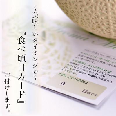 菊川市 【数量】 【毎月定期便】アローマメロン(小玉) 1玉入　全6回