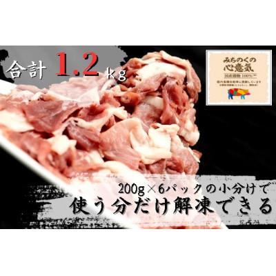 ふるさと納税 栗原市 [2週間毎定期便]みちのくの心意気豚ウデモモ切落し(200g×6p入) ※使いやすい小分パック全4回