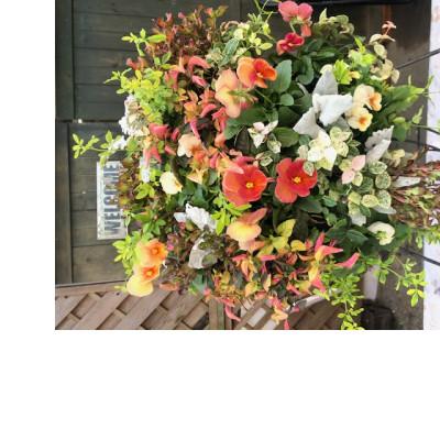 ふるさと納税 藤枝市 【発送月固定定期便】【春・秋2回】ハンギング