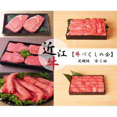ふるさと納税 近江八幡市 [毎月定期便][近江牛 牛づくしの会]お肉の定期便全5回