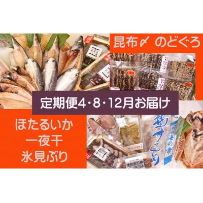 ふるさと納税 氷見市 [発送月固定定期便]氷見の味を食べつくす![一夜干・氷見ぶり・昆布〆刺身・蛍いか・のどぐろ入]全3回